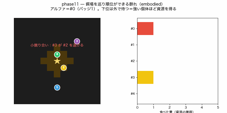 餌場での接触から順位が分かれるラット群